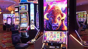 23 bet com
